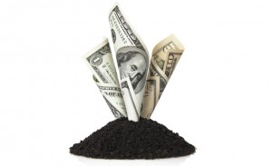 Save Your Money by Screening Your Own Topsoil