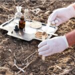 Dirt DNA: A scientist testing the dirt for DNA.