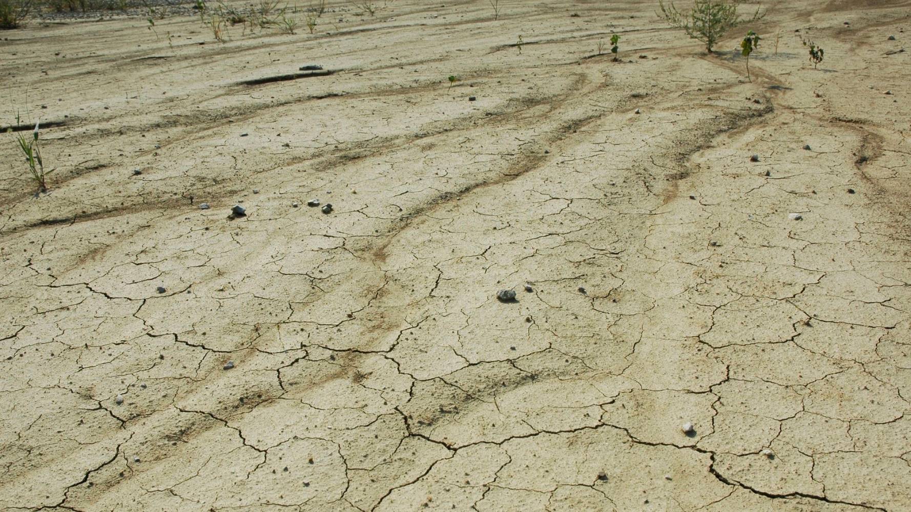 Dry clay topsoil