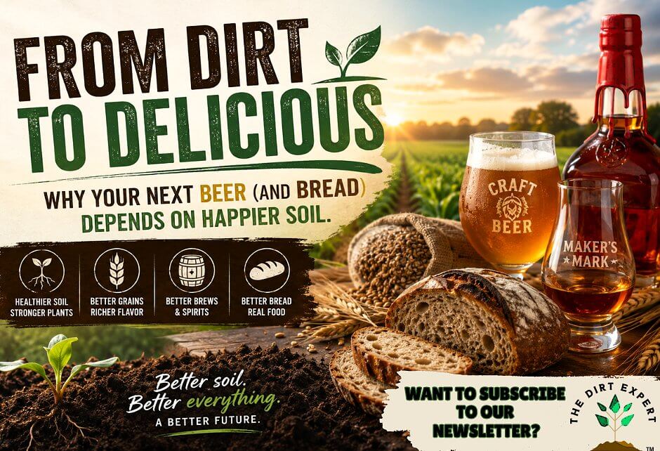 From Dirt to Delicious: Why Your Next Beer (and Bread) Depends on Happier Soil From Dirt to Delicious: Why Your Next Beer (and Bread) Depends on Happier Soil