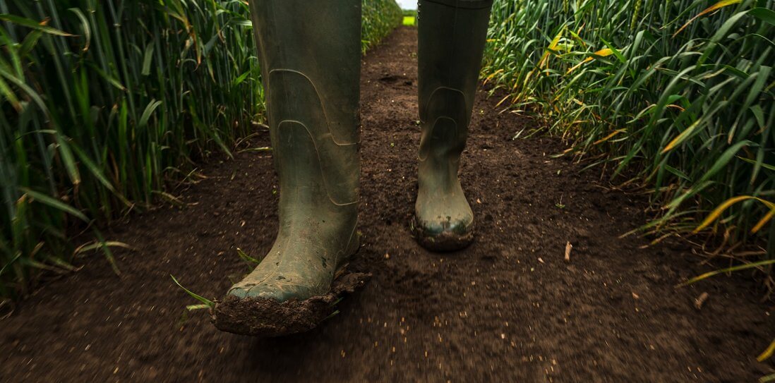 From Dust to Dustier A Hilarious Trek Through Soil Conservation