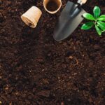 Garden Soil 101: Beginner’s Guide to Gardening
