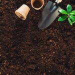 Garden Soil 101