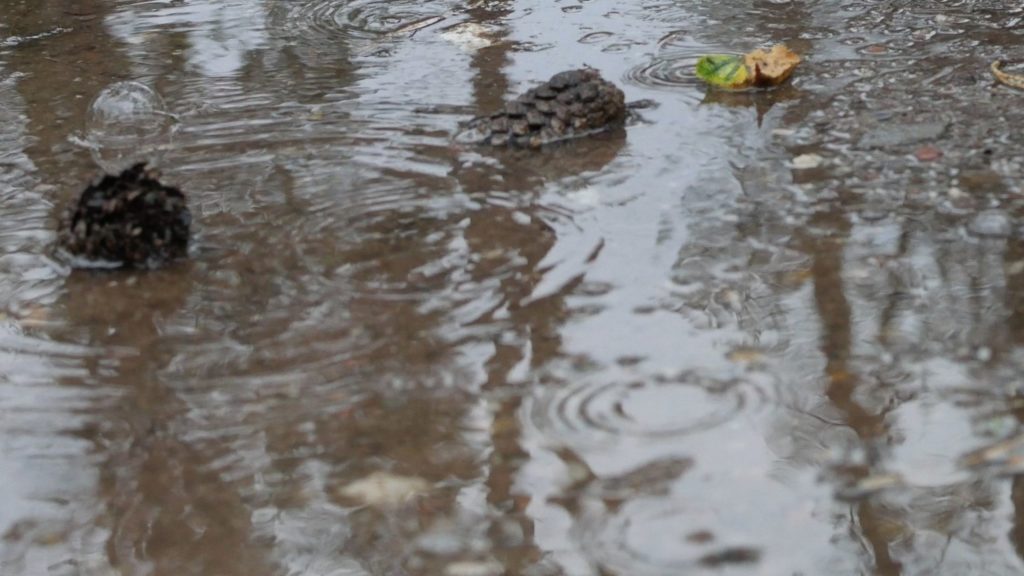 A puddle of water with a bit of mud