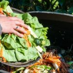 The Great Food Waste Recycling Revolution: A Laughable Yet Laudable Quest