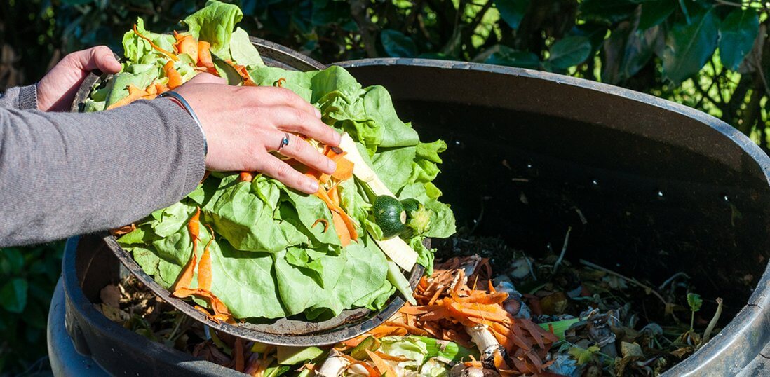 The Great Food Waste Recycling Revolution_ A Laughable Yet Laudable Quest