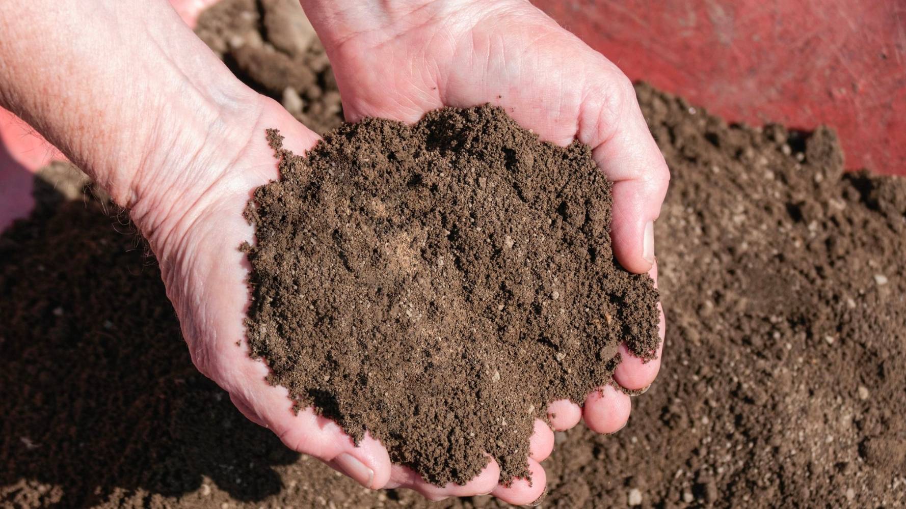 Topsoil in a persons hands