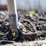 Combat global warming by having a green backyard: An image of a spade inside dirt.