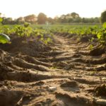 Soil Reclamation 101 | EZ-Screen