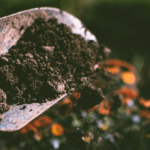 The Lowdown On Good Topsoil