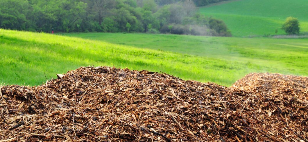 Chemical Engineering scientist Christian Hulteberg, from Sweden’s Lund University, has developed a process for turning tree waste into gasoline.