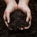 6 Examples of Sustainable Uses of Soil | EZ-Screen