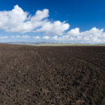 Screened Vs. Unscreened Topsoil | EZ-Screen