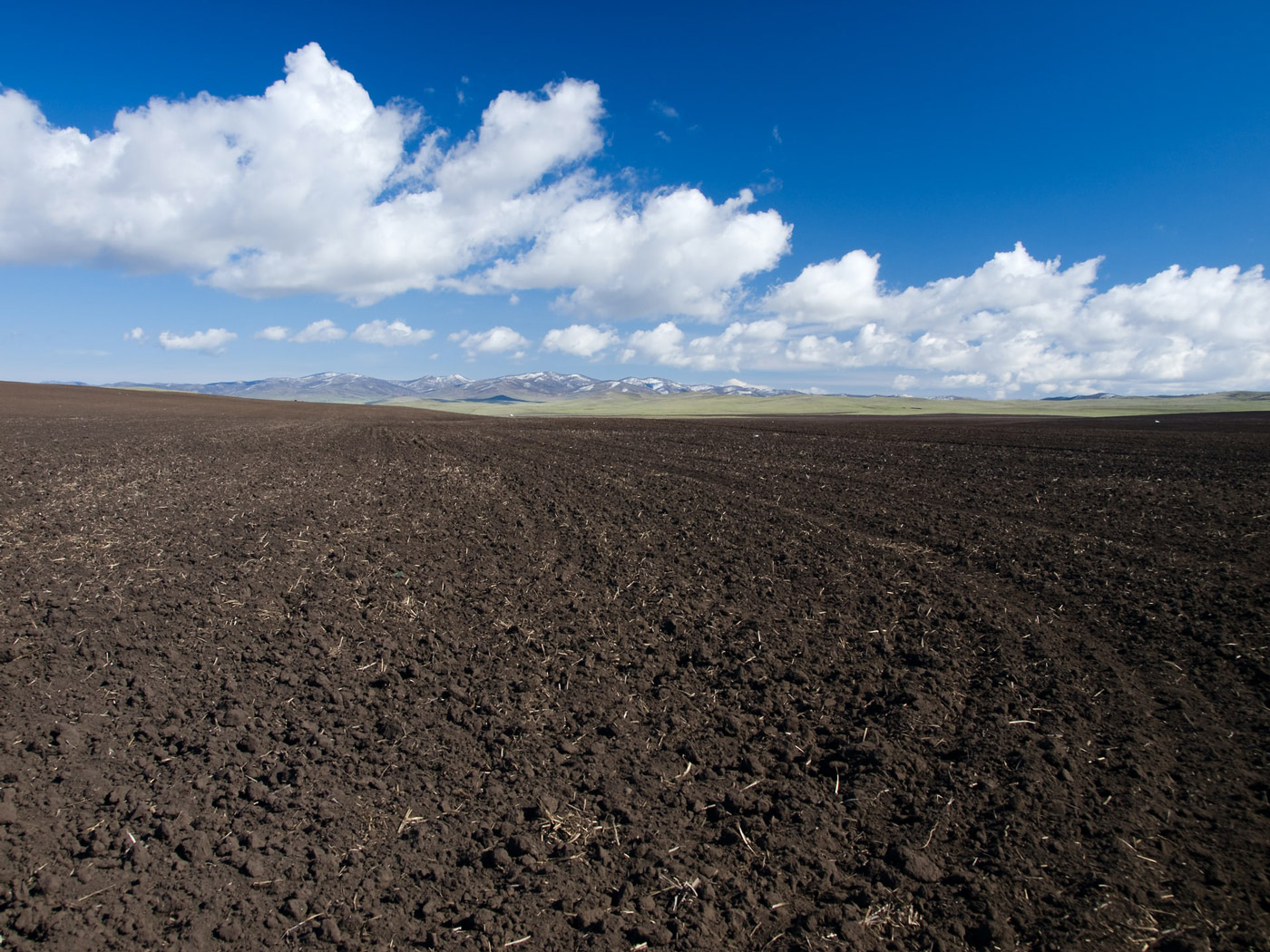 Screened Vs. Unscreened Topsoil | EZ-Screen